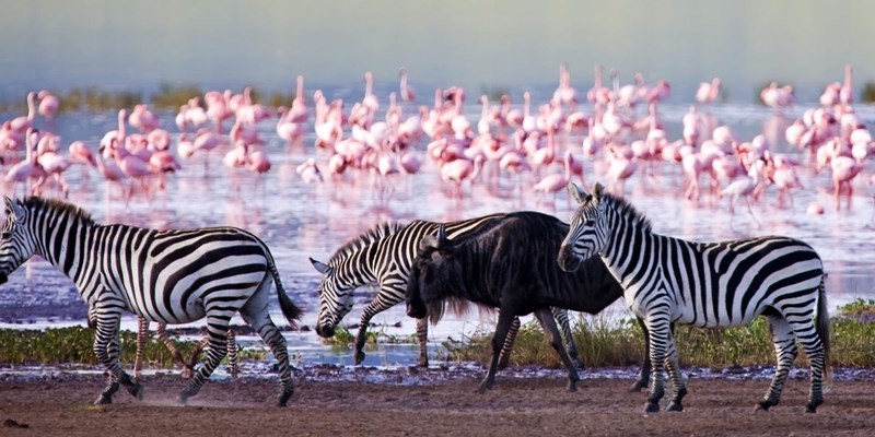 National Parks of Kenya 