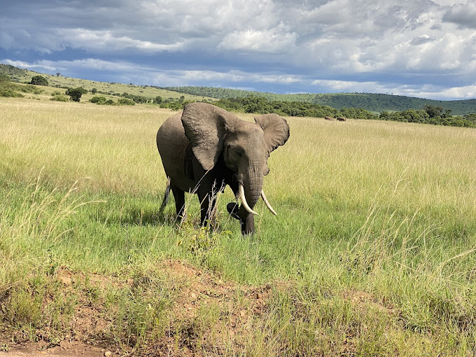 Maasai Mara Easter 2025 3 Days 2 Nights